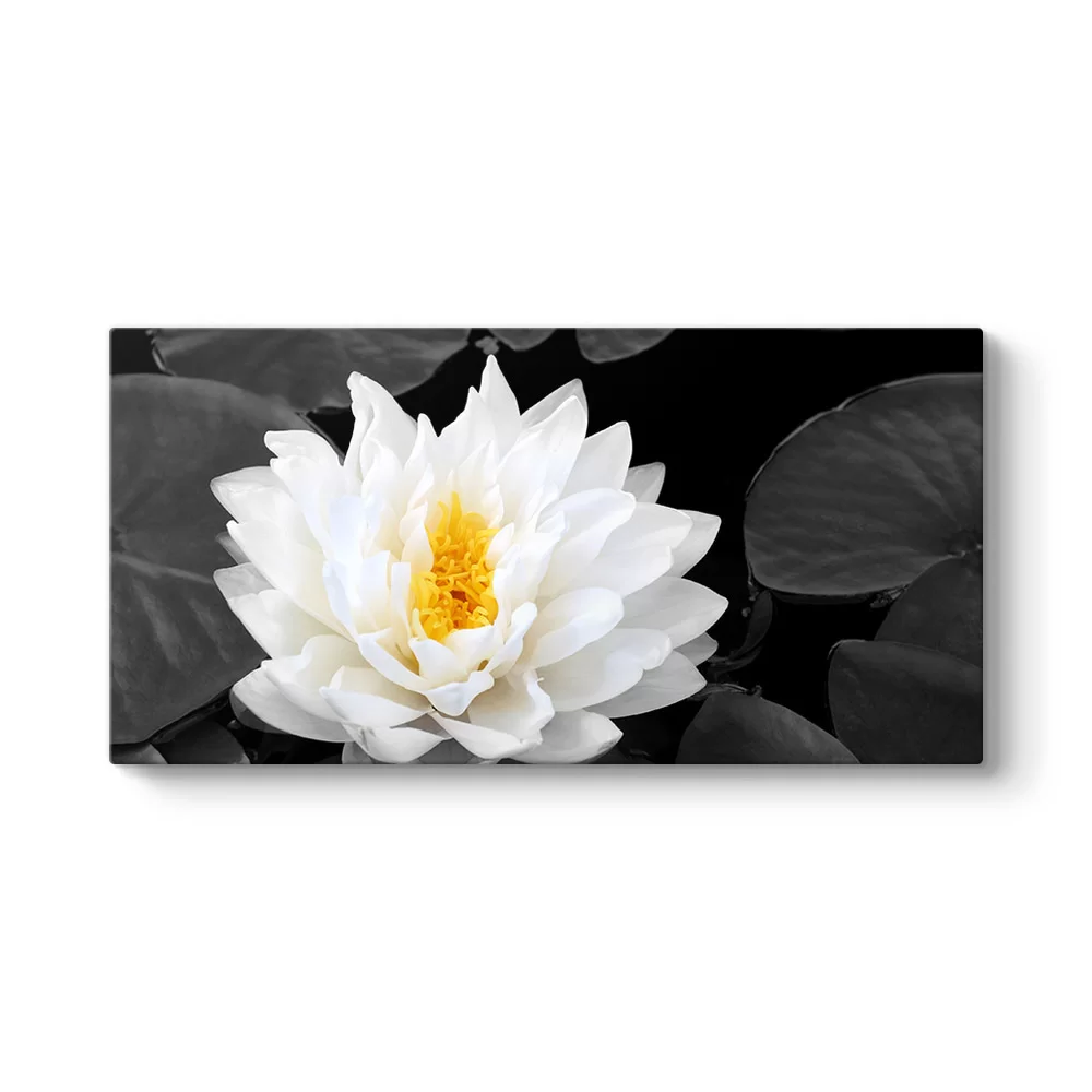Lotus Güzelliği Tablosu - Model 5